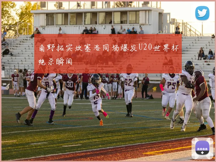 南野拓实坎塞洛同场爆发U20世界杯绝杀瞬间