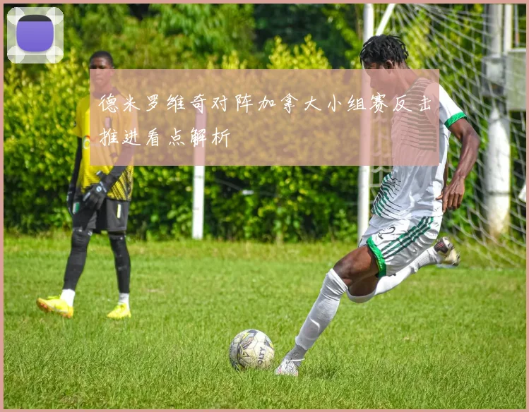 德米罗维奇对阵加拿大小组赛反击推进看点解析