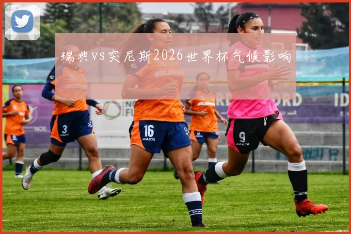 瑞典vs突尼斯2026世界杯气候影响